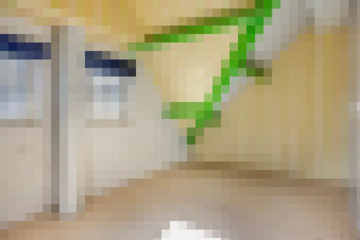 Westerstraat 12 Dinteloord thumbnail 25