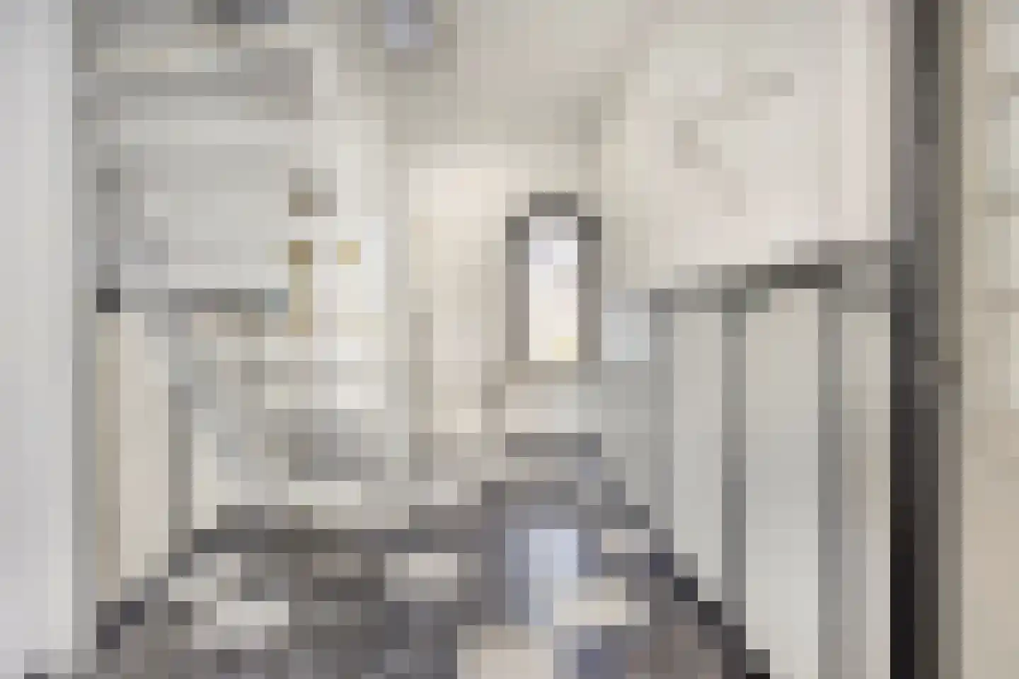 Westerstraat 12 Dinteloord thumbnail 5