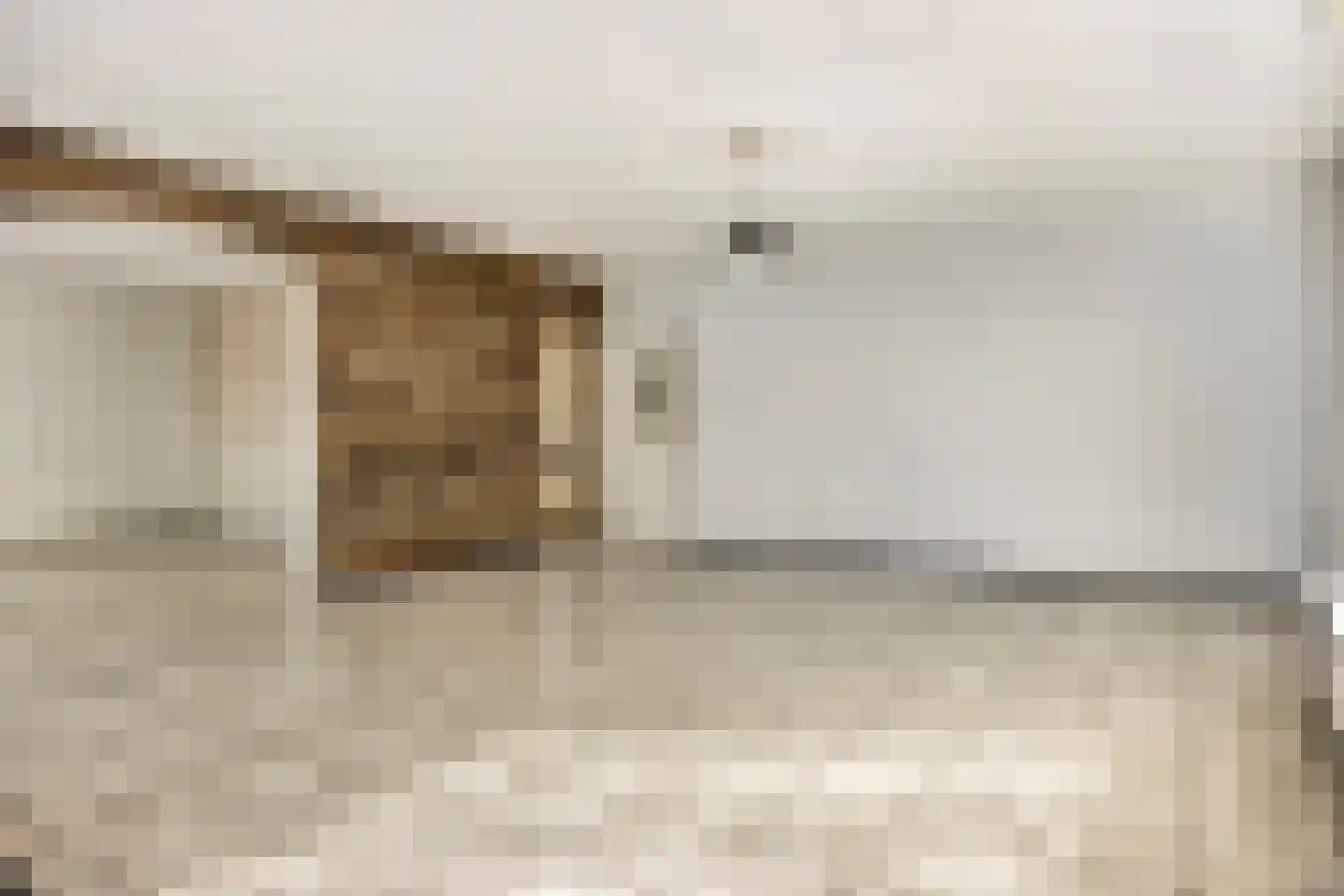 Westerstraat 12 Dinteloord thumbnail 9