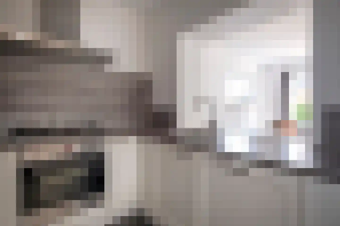 Westerstraat 125 Ter Apel thumbnail 18