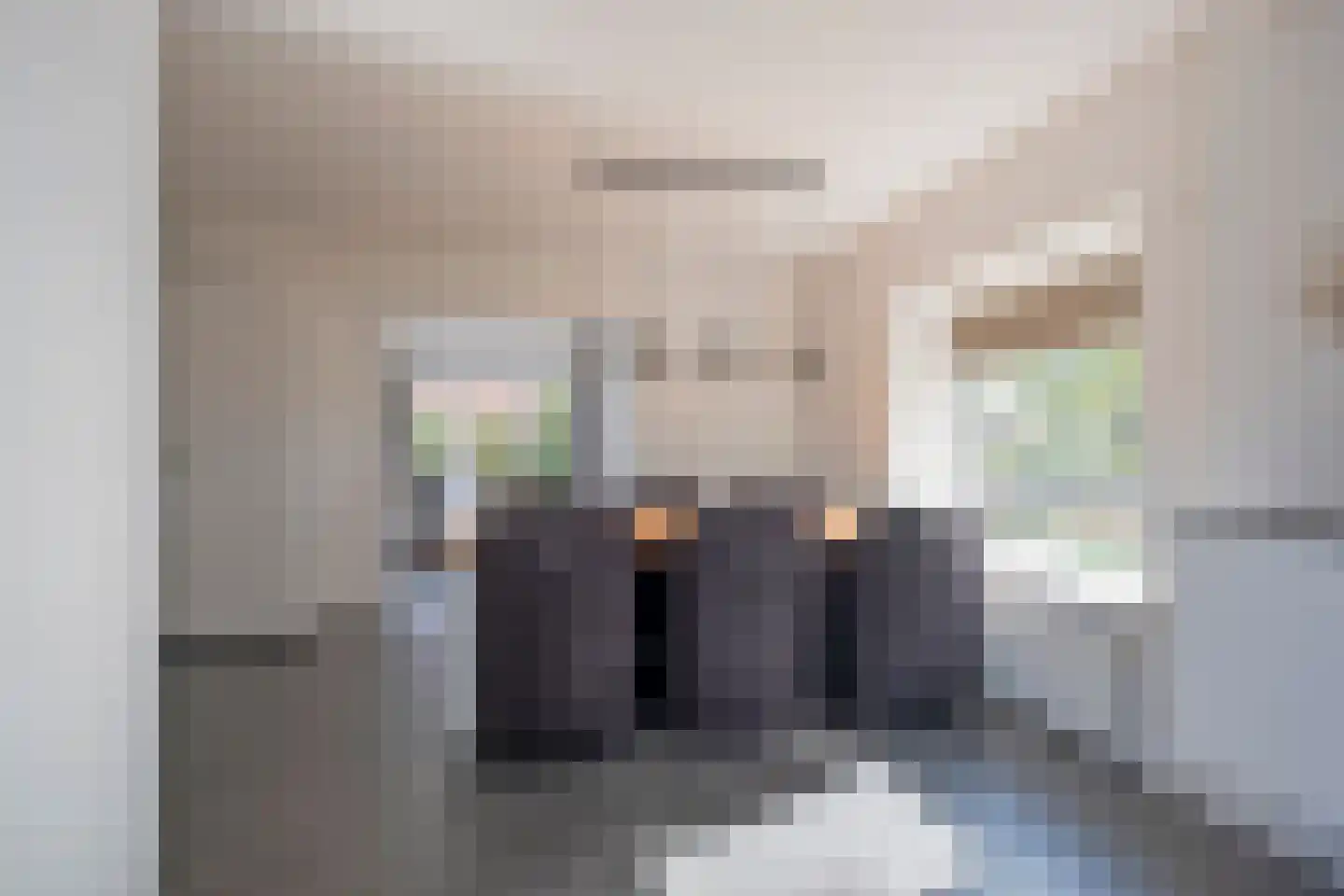 Westerstraat 125 Ter Apel thumbnail 22