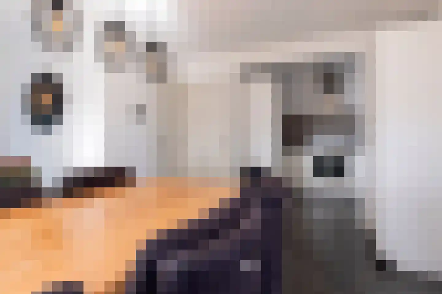 Westerstraat 125 Ter Apel thumbnail 31