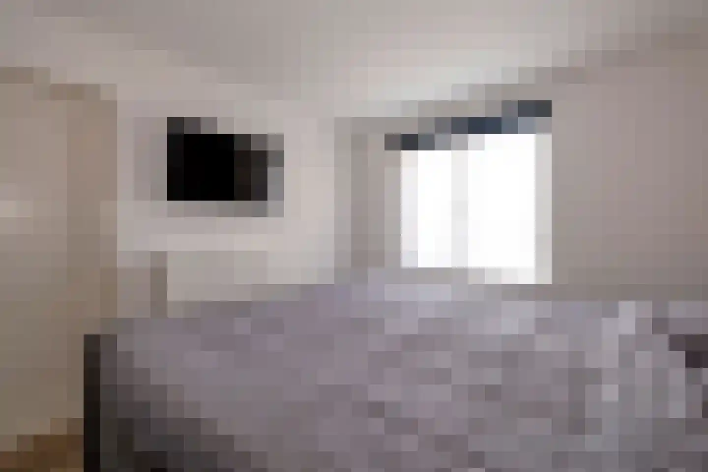 Westerstraat 125 Ter Apel thumbnail 33