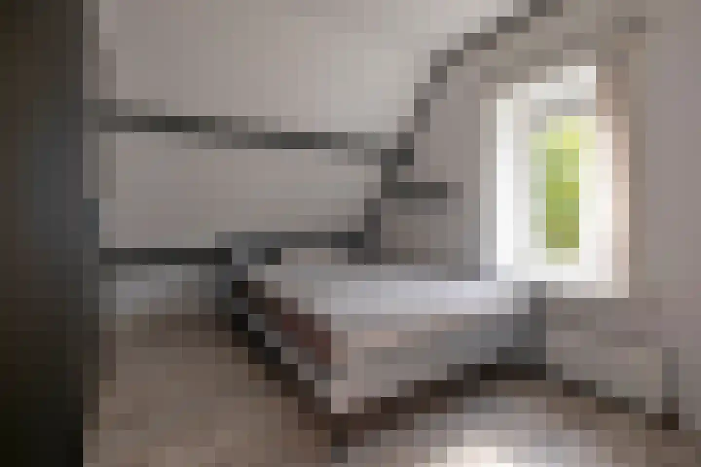 Westerstraat 125 Ter Apel thumbnail 42