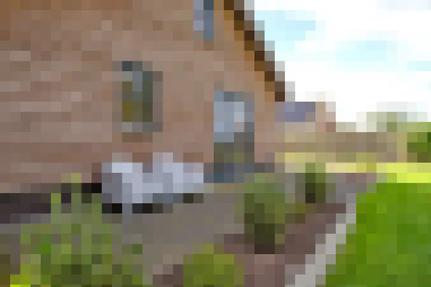 Westerstraat 125 Ter Apel thumbnail 65