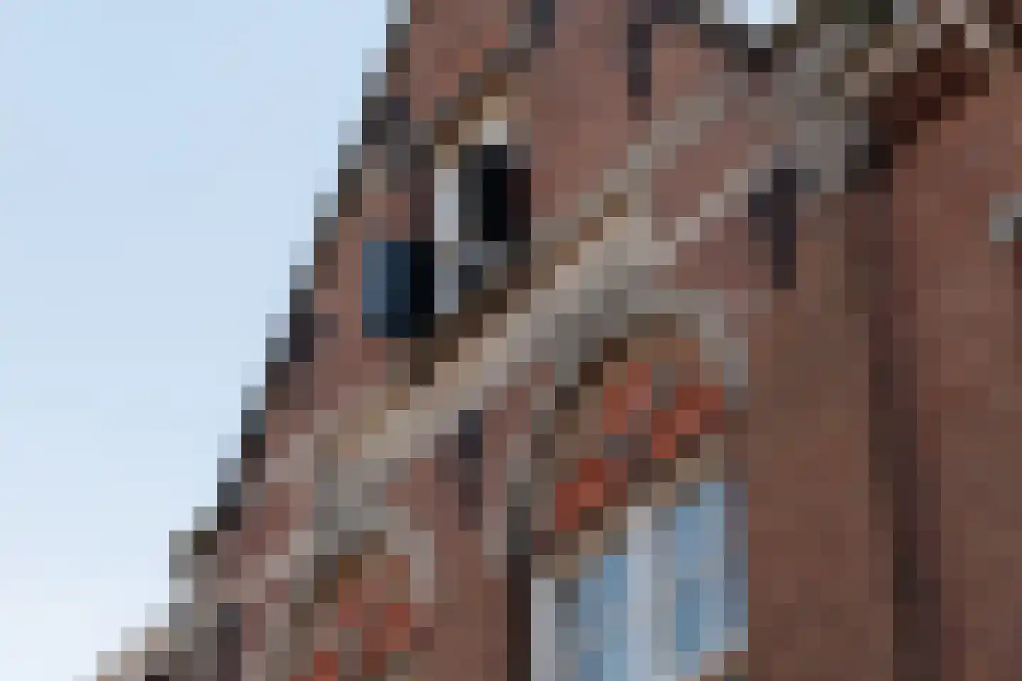 Westerstraat 129 a Enkhuizen thumbnail 61