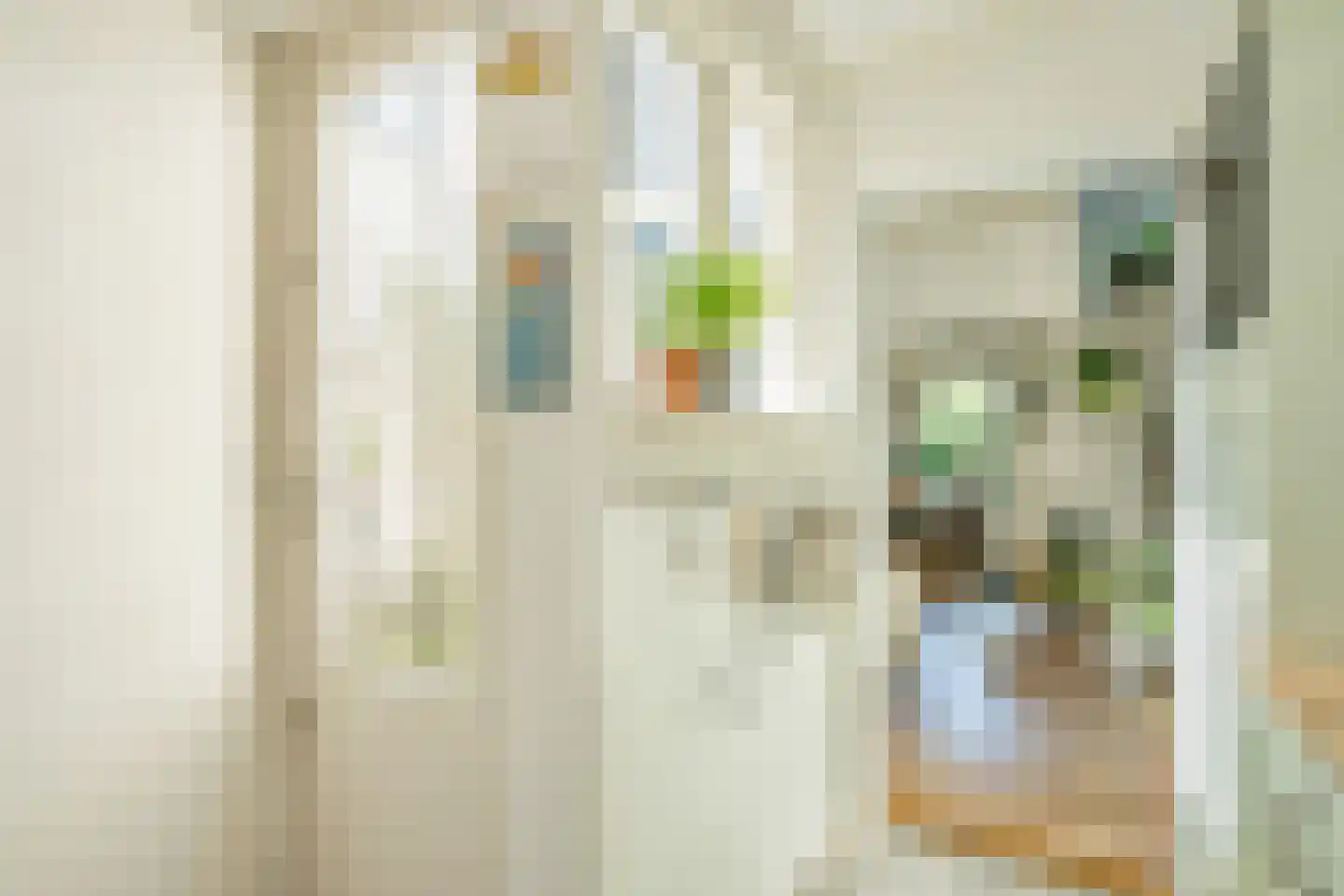 Westerstraat 14 Delft thumbnail 14