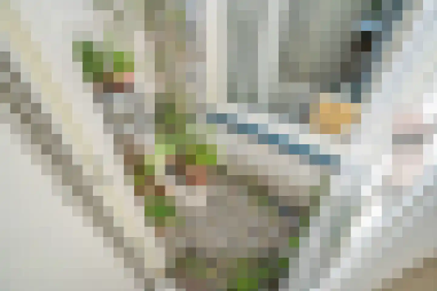 Westerstraat 14 Delft thumbnail 16