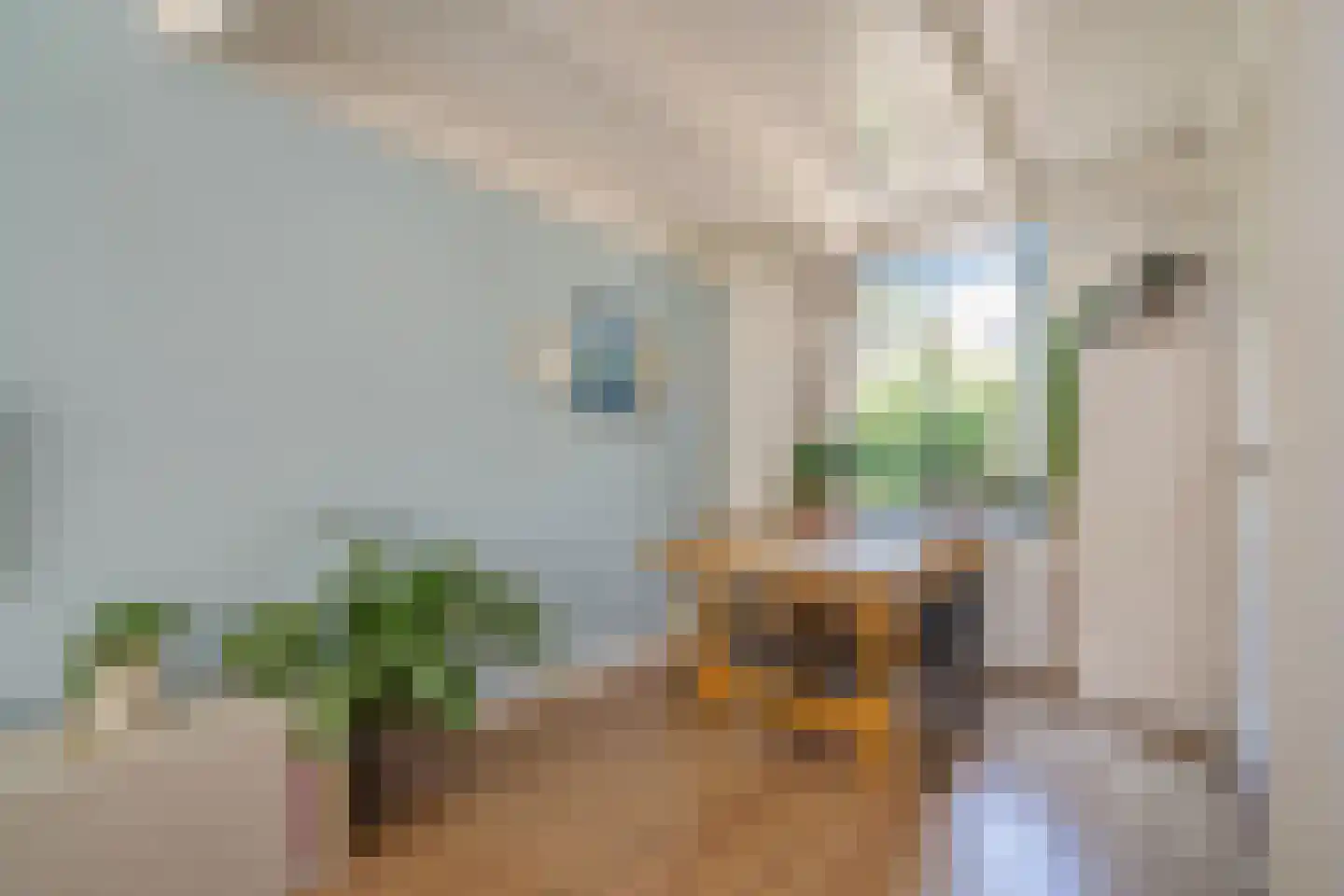 Westerstraat 14 Delft thumbnail 9