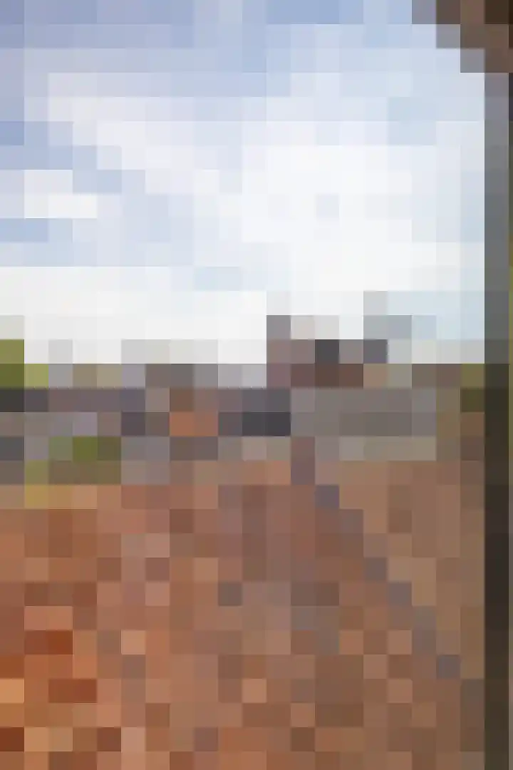 Westerstraat 15 Winsum thumbnail 38