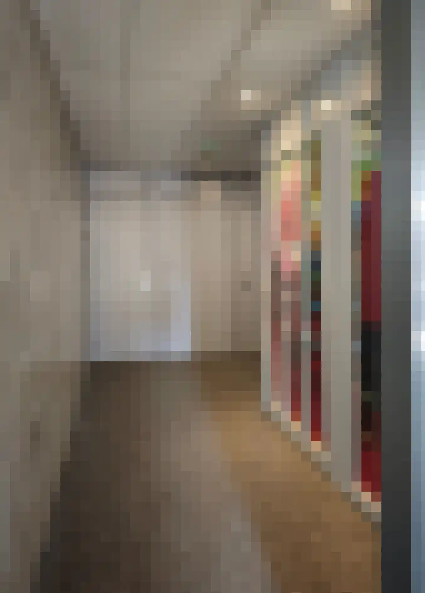 Westerstraat 150 Emmen thumbnail 5