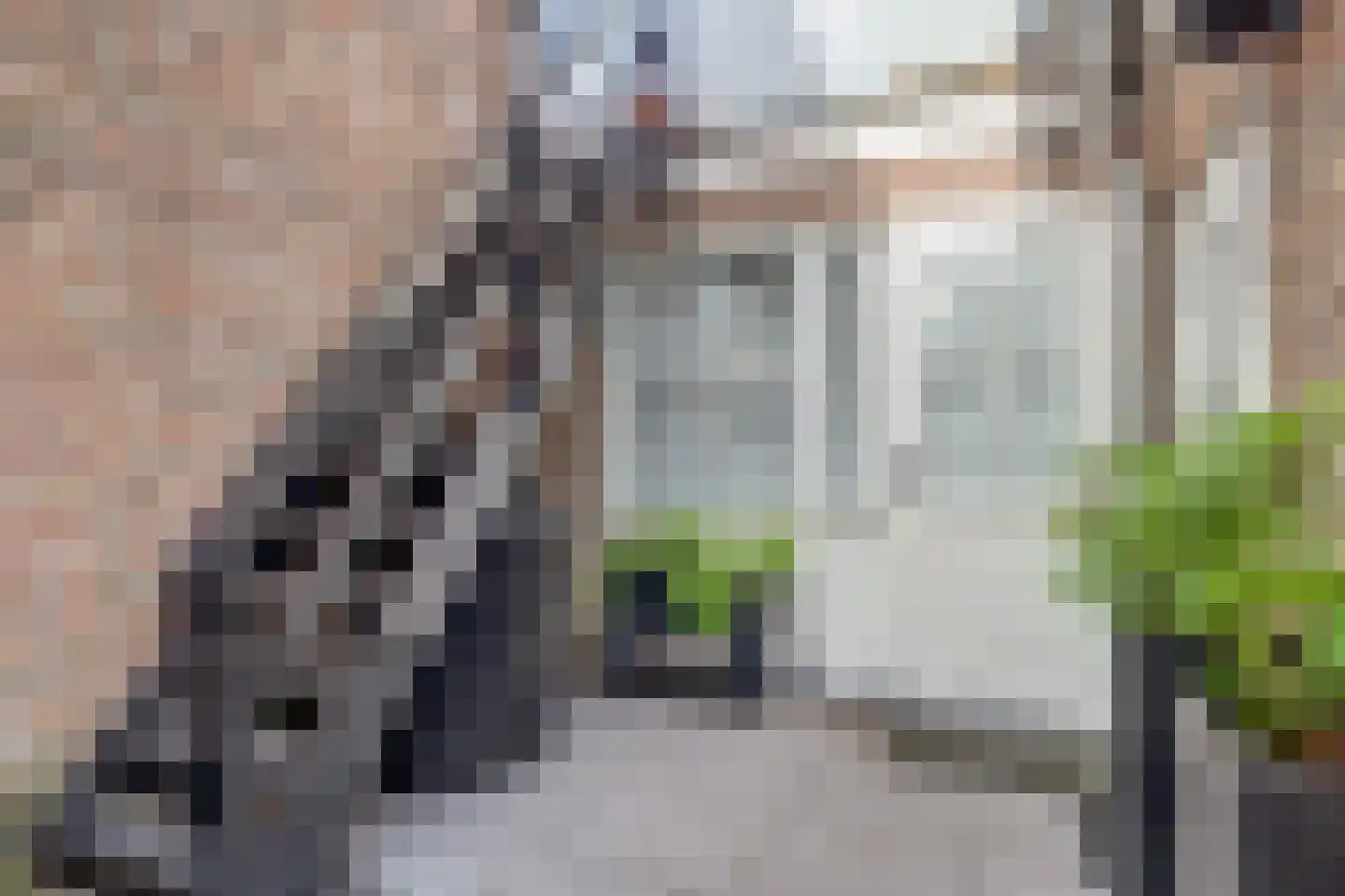 Westerstraat 158 Enkhuizen thumbnail 39