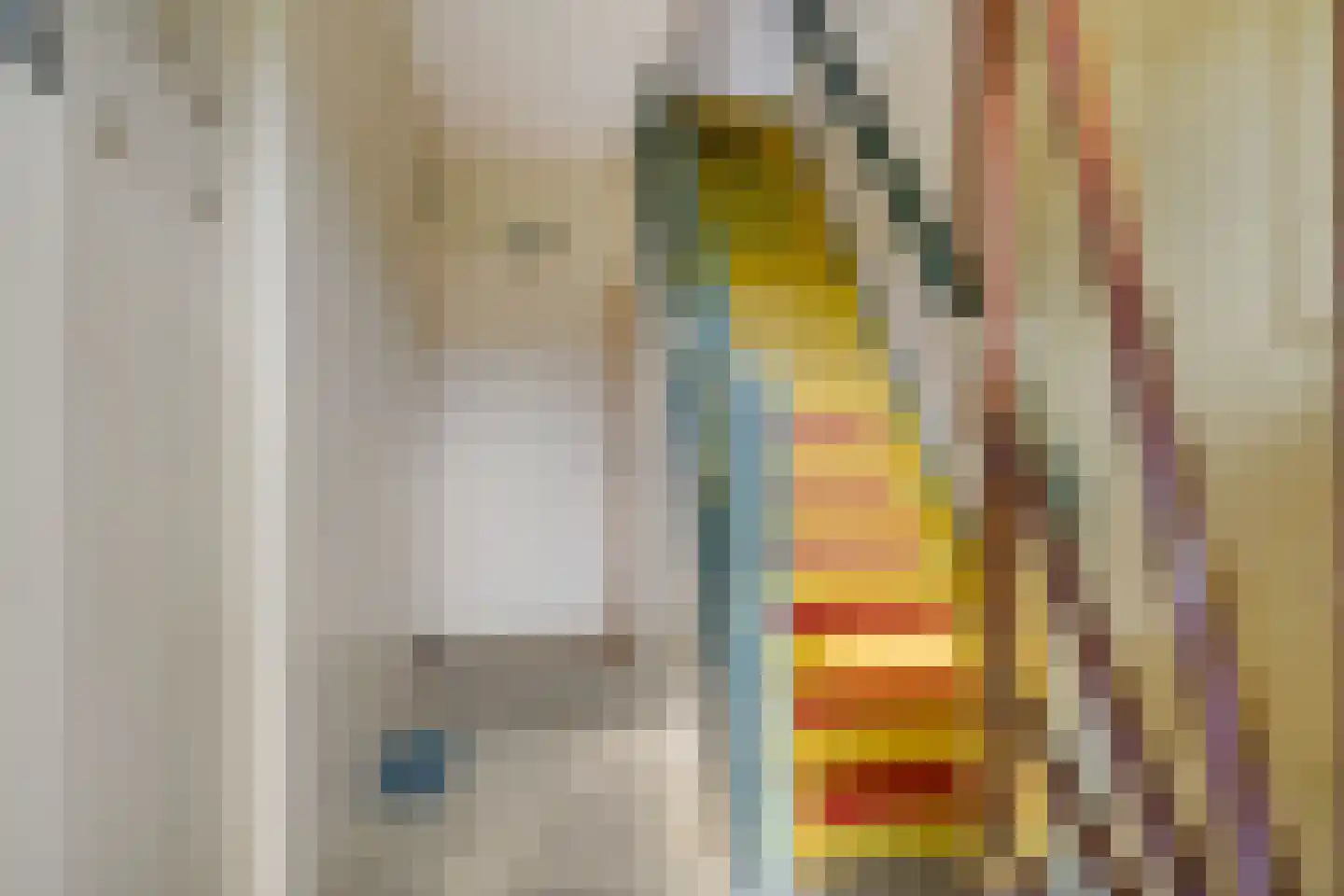 Westerstraat 18 Vries thumbnail 16