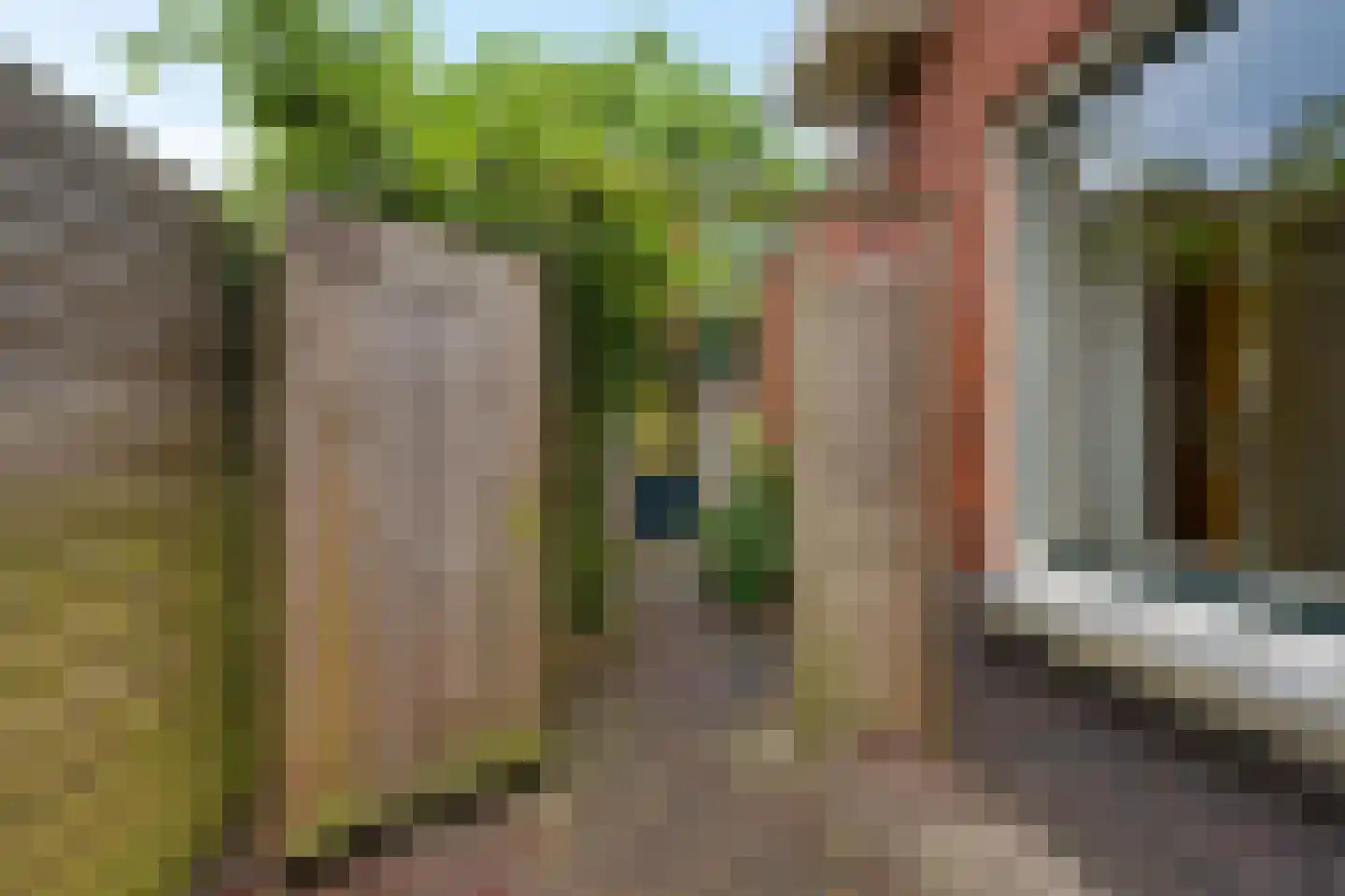 Westerstraat 18 Vries thumbnail 27