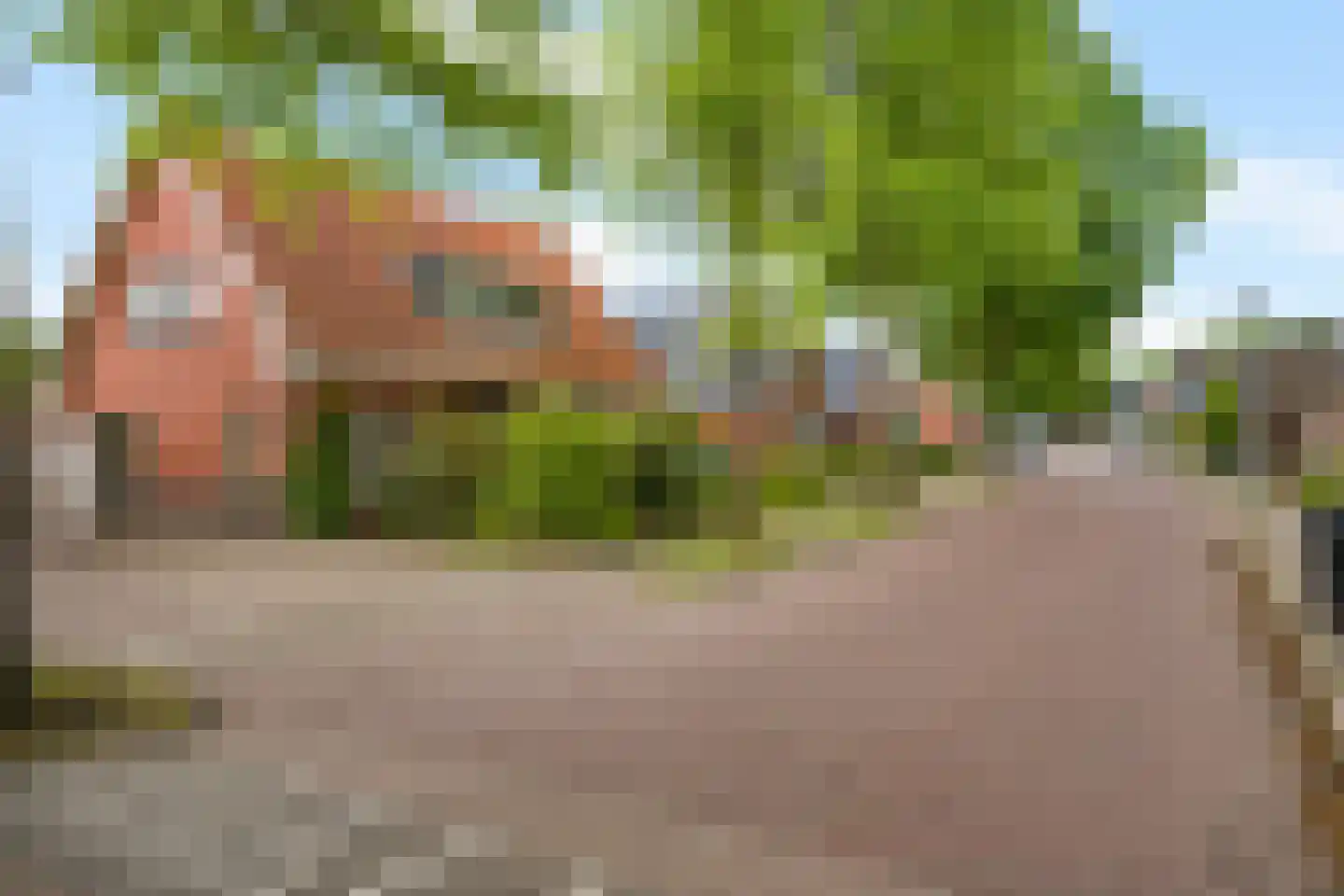Westerstraat 18 Vries thumbnail 4