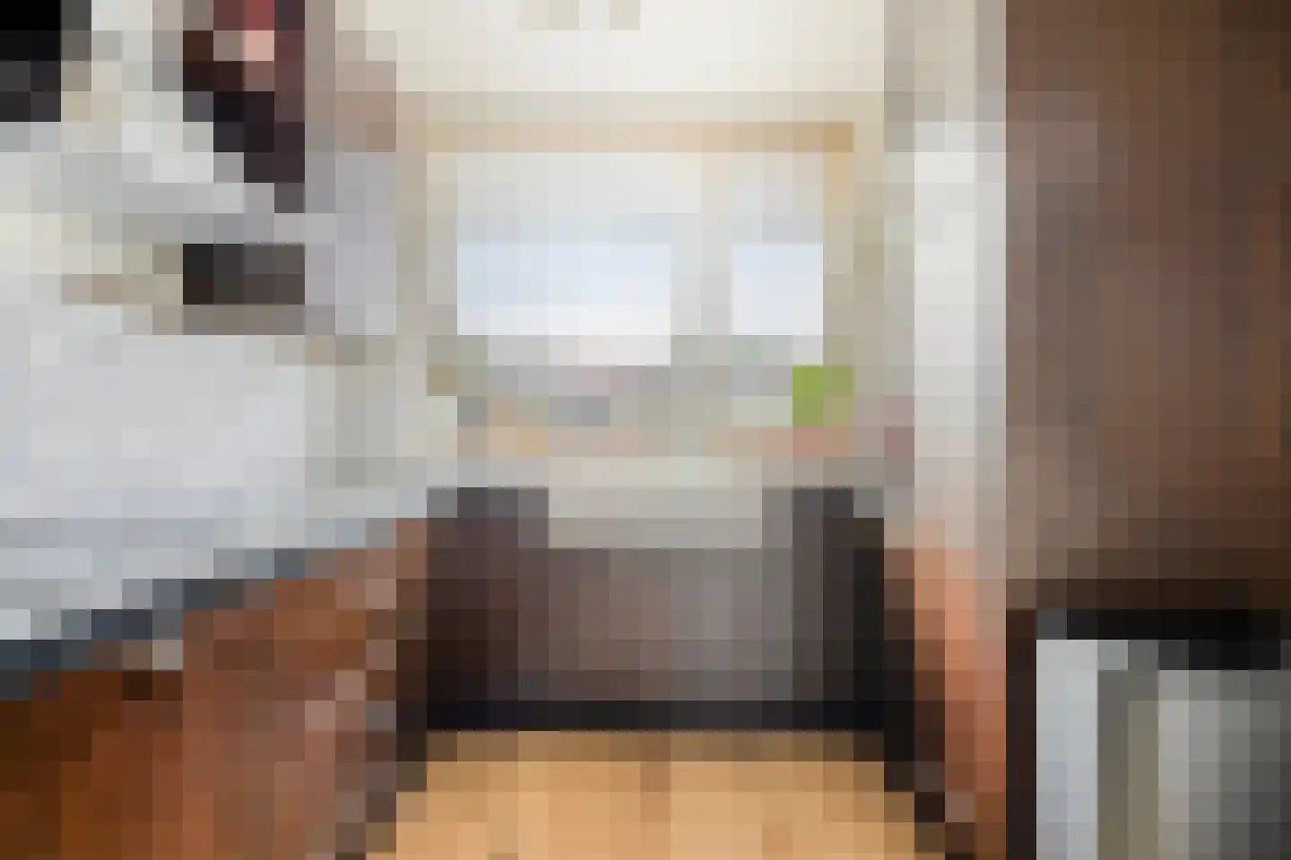 Westerstraat 19 Dinteloord thumbnail 10
