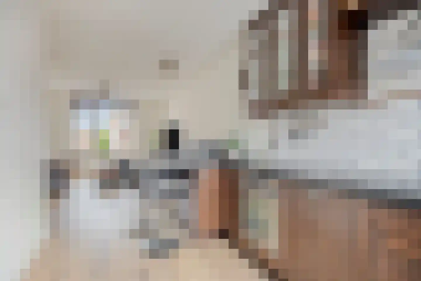 Westerstraat 19 Dinteloord thumbnail 11
