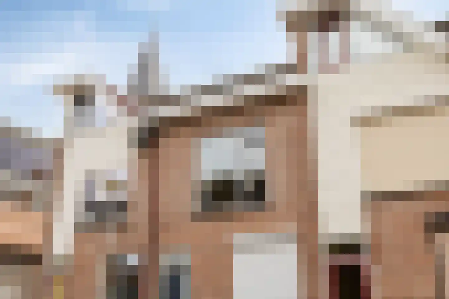 Westerstraat 19 Dinteloord thumbnail 20