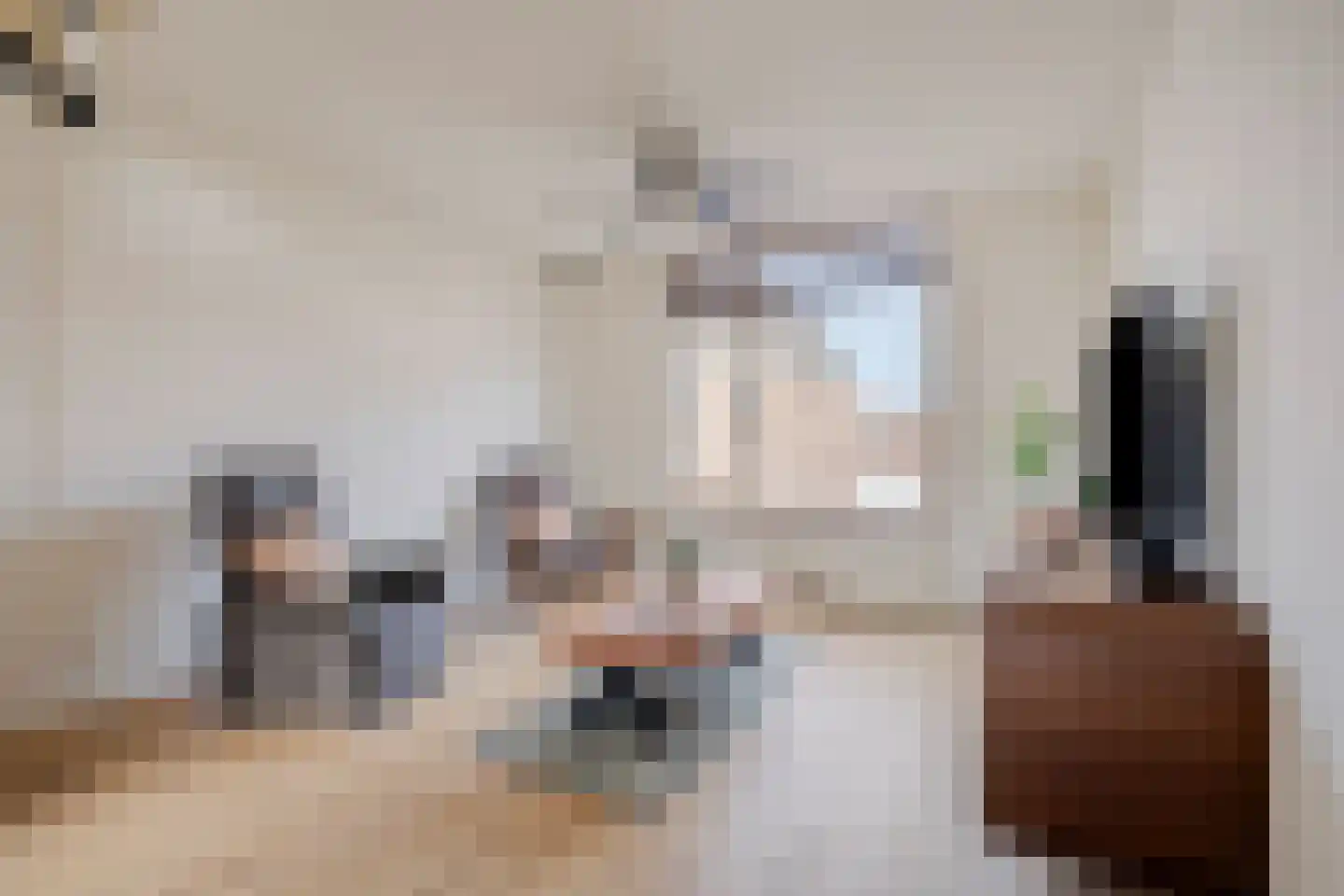 Westerstraat 19 Dinteloord thumbnail 5