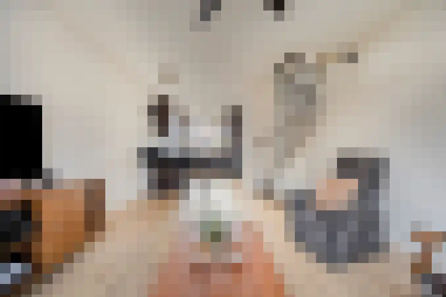 Westerstraat 19 Dinteloord thumbnail 6