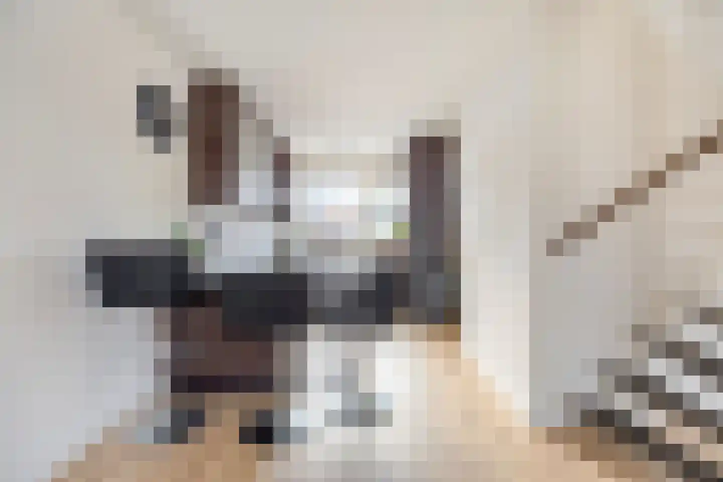 Westerstraat 19 Dinteloord thumbnail 8