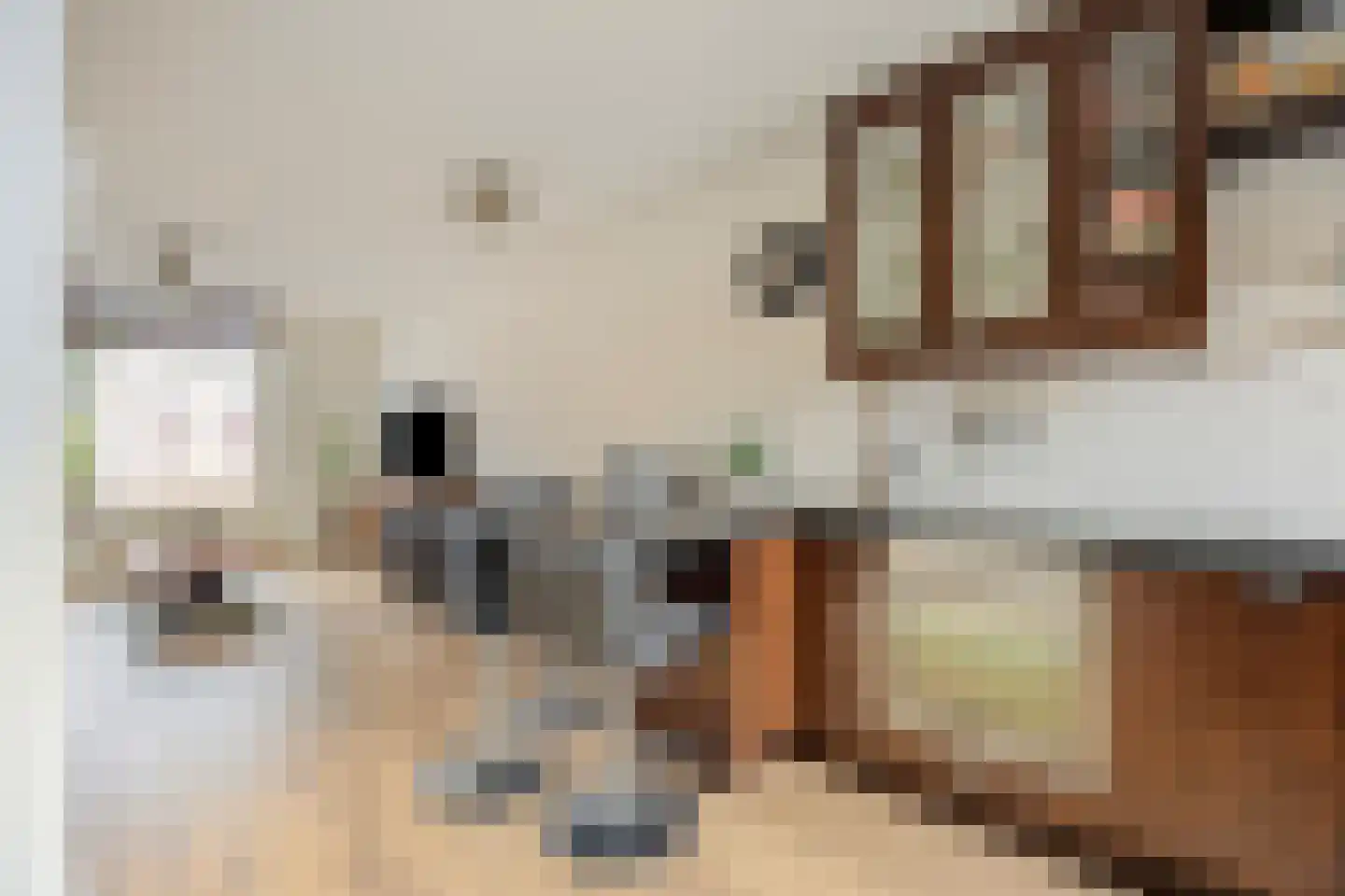 Westerstraat 19 Dinteloord thumbnail 9