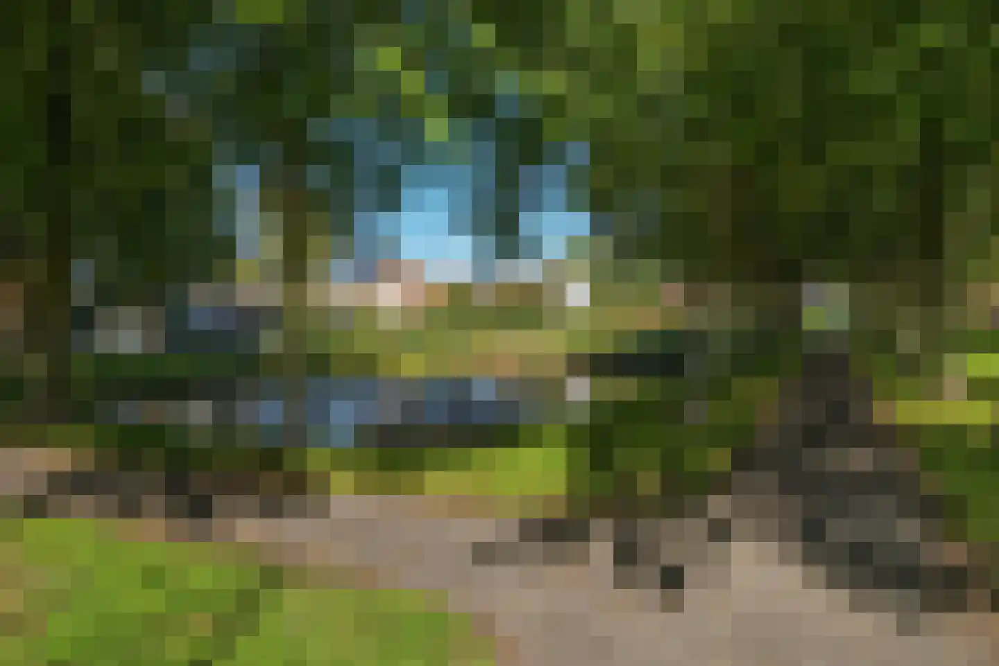 Westerstraat 19 Heinkenszand thumbnail 30