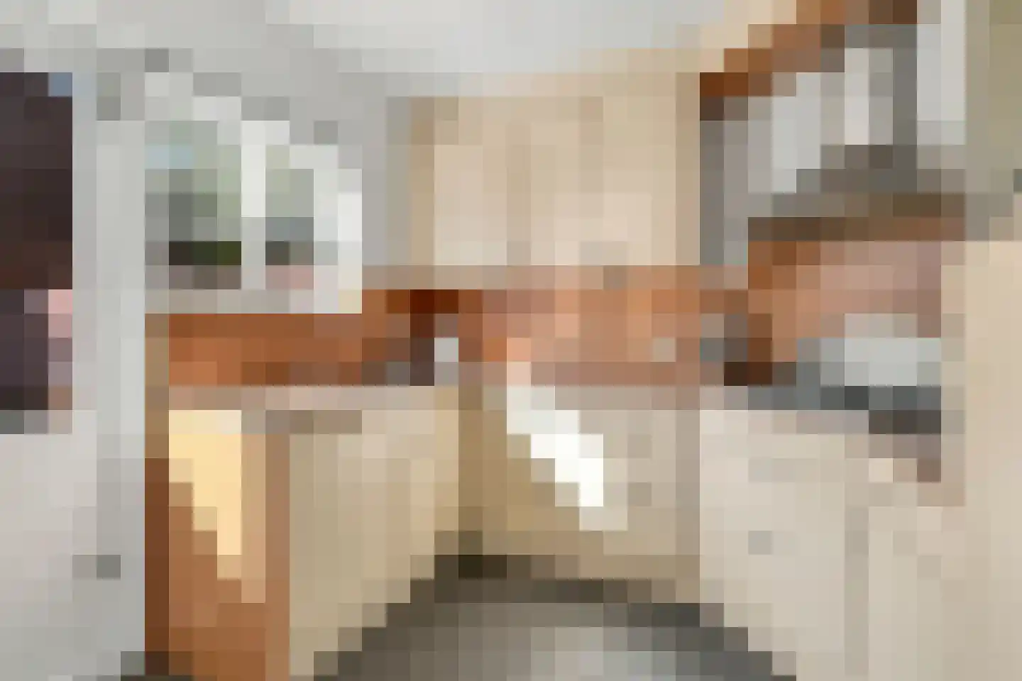 Westerstraat 19 Heinkenszand thumbnail 8