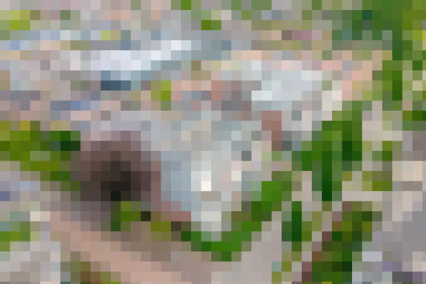 Westerstraat 2 Roden thumbnail 10
