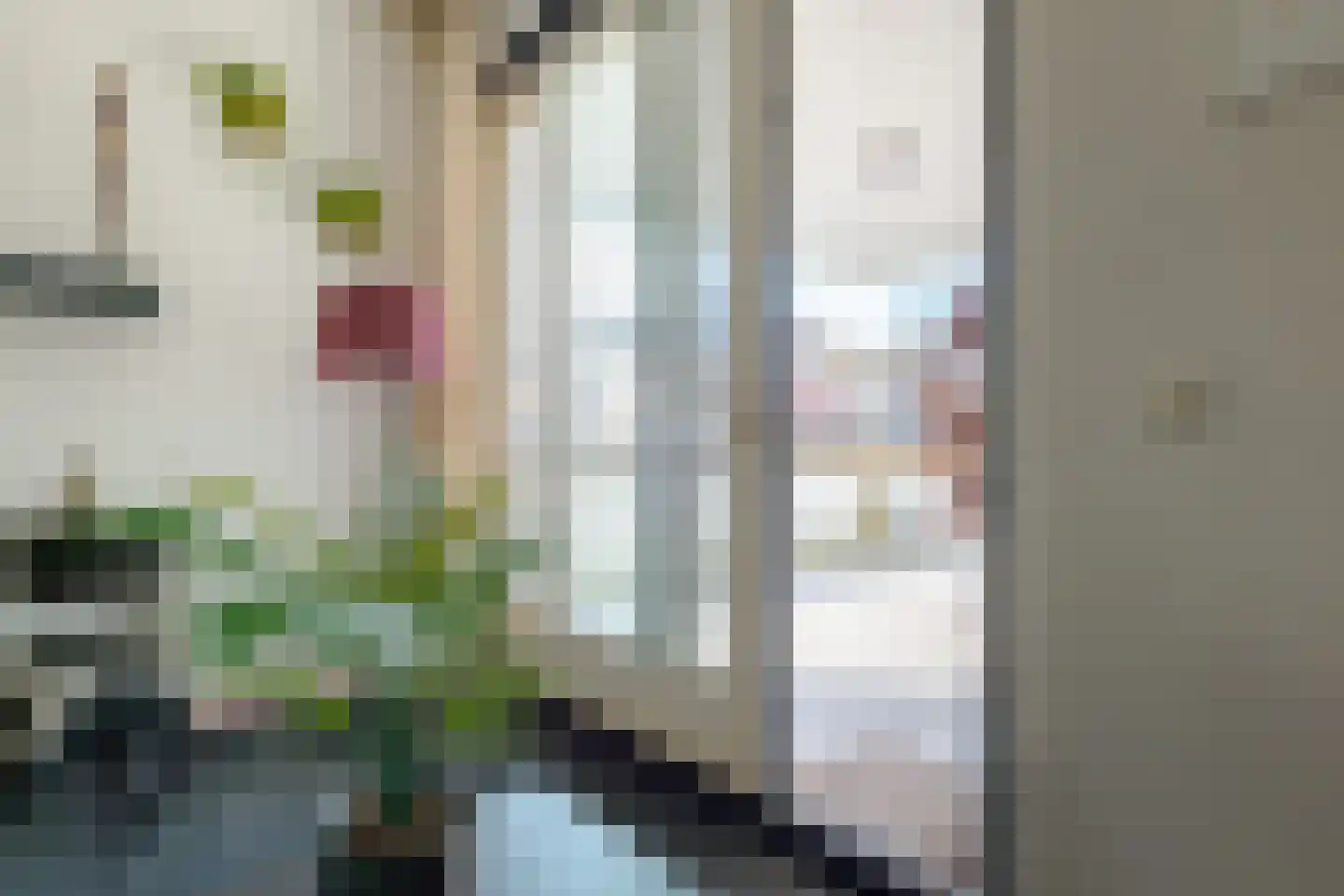 Westerstraat 2 Roden thumbnail 14