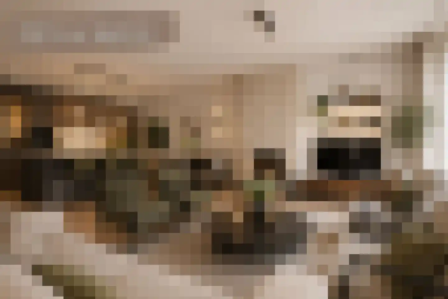 Westerstraat 2 Roden thumbnail 8