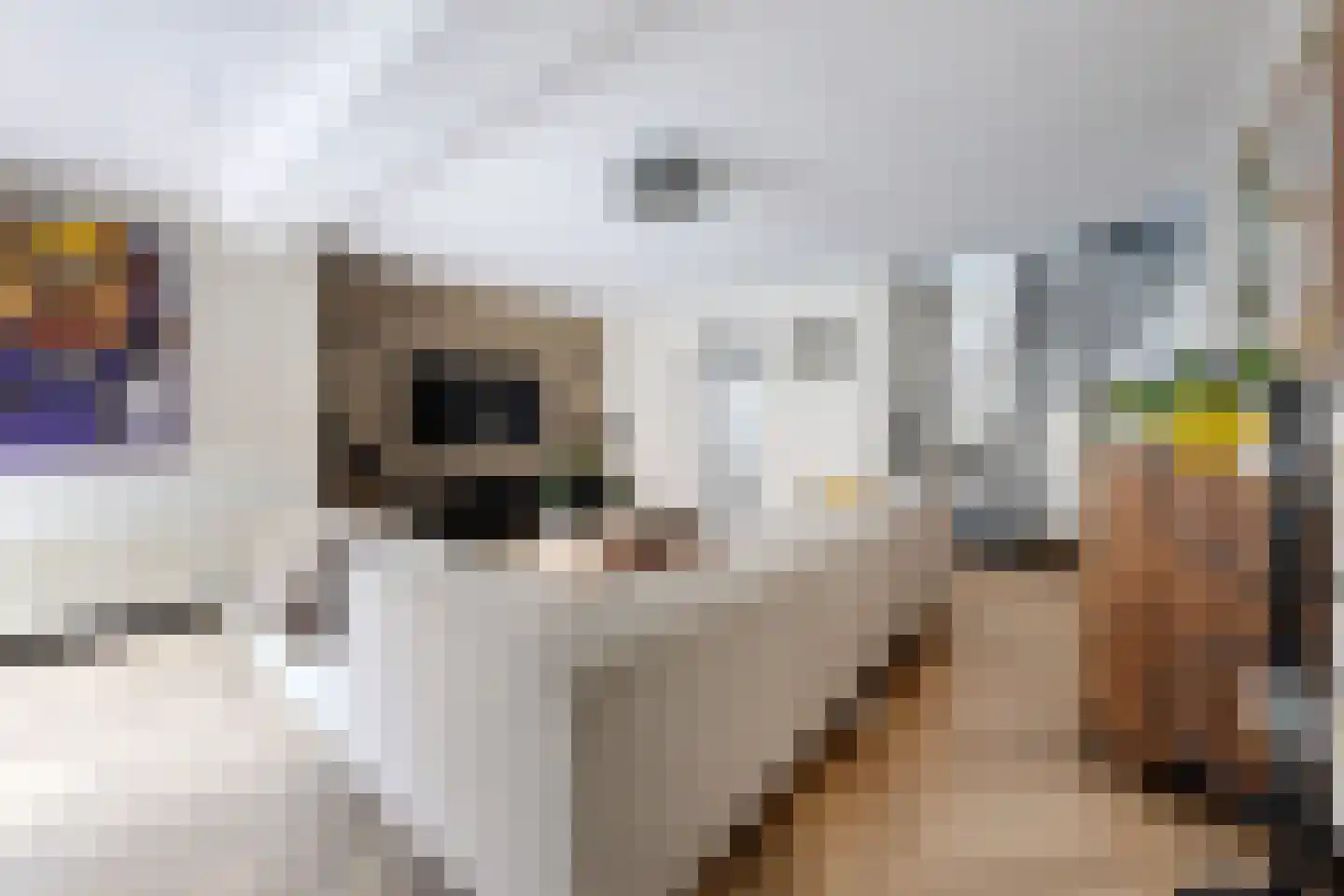 Westerstraat 20 Klundert thumbnail 17