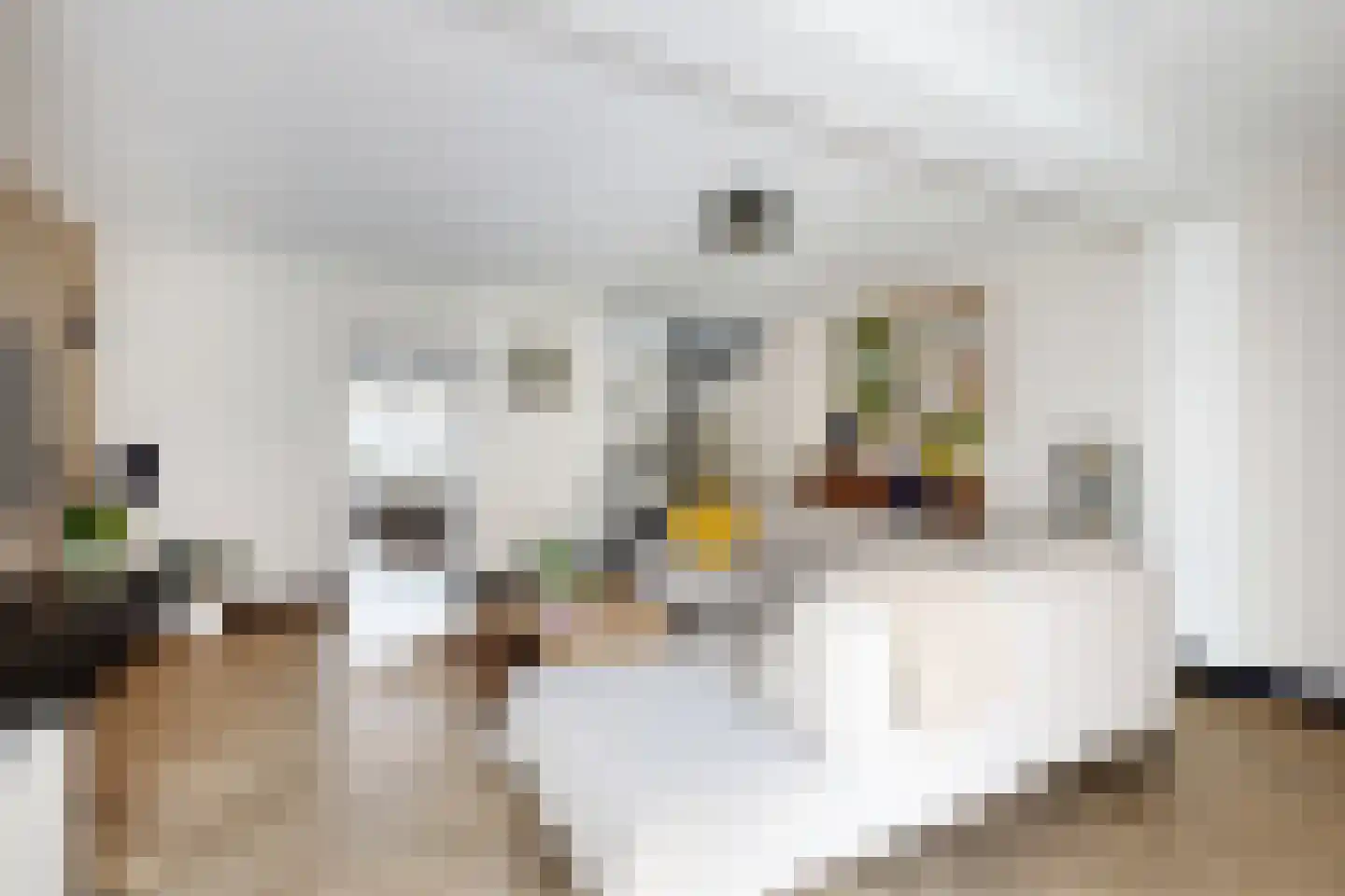 Westerstraat 20 Klundert thumbnail 19