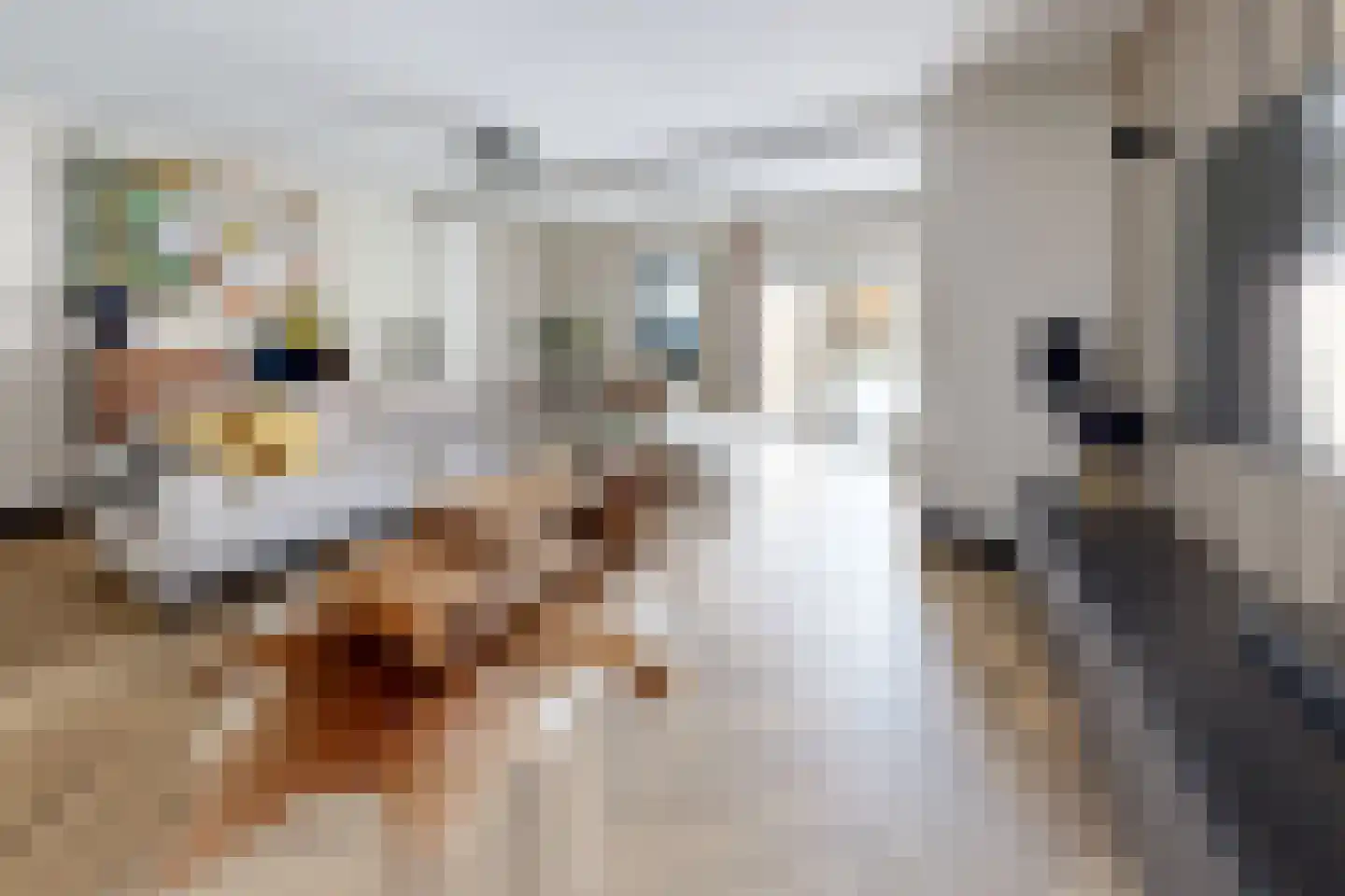 Westerstraat 20 Klundert thumbnail 20