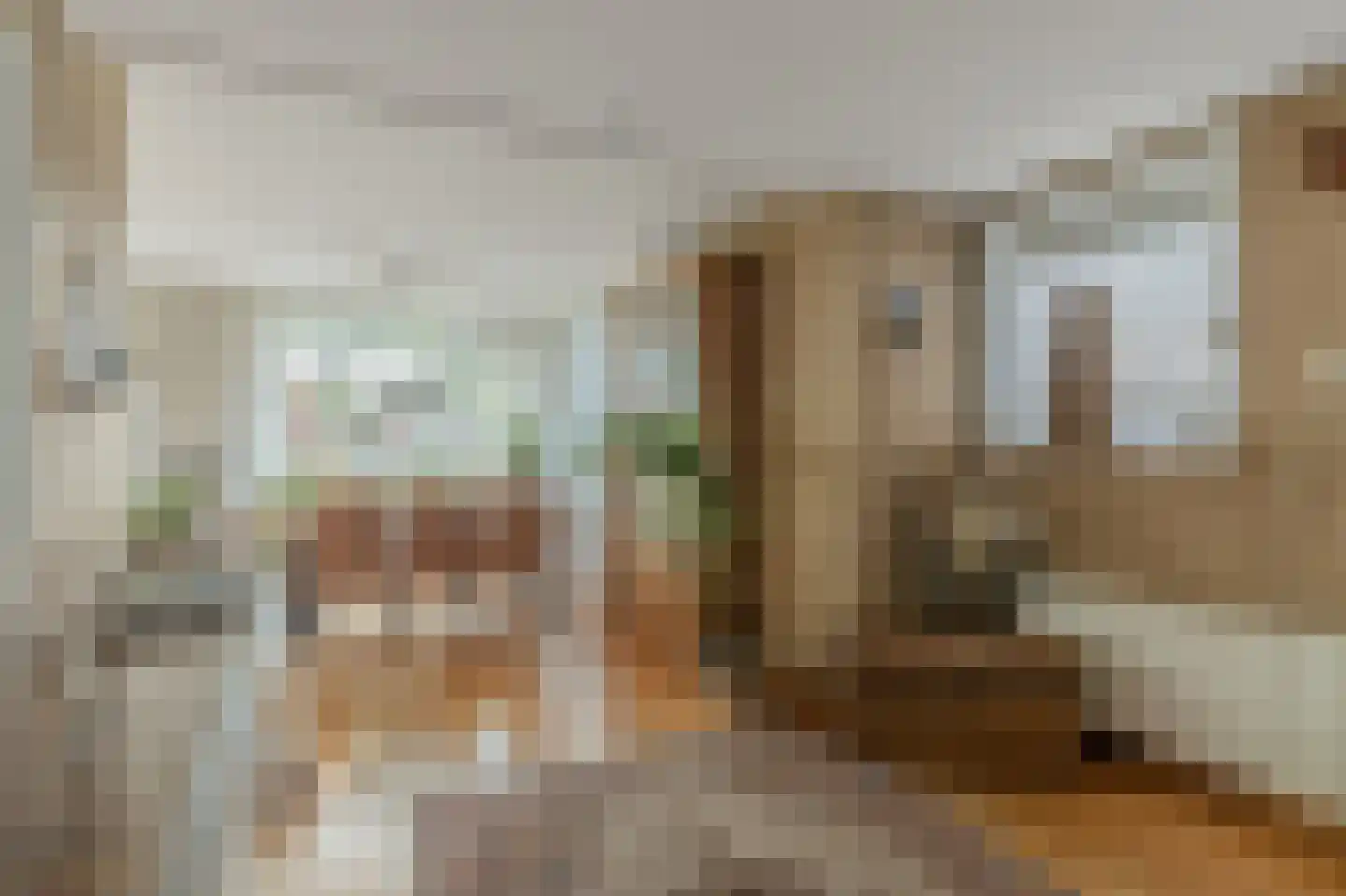 Westerstraat 20 Ter Apel thumbnail 15