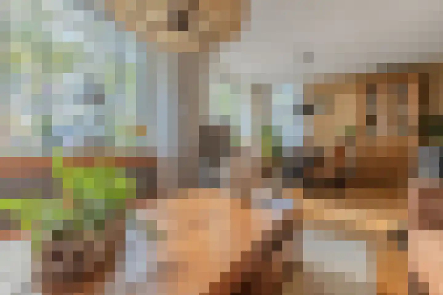 Westerstraat 20 Ter Apel thumbnail 19