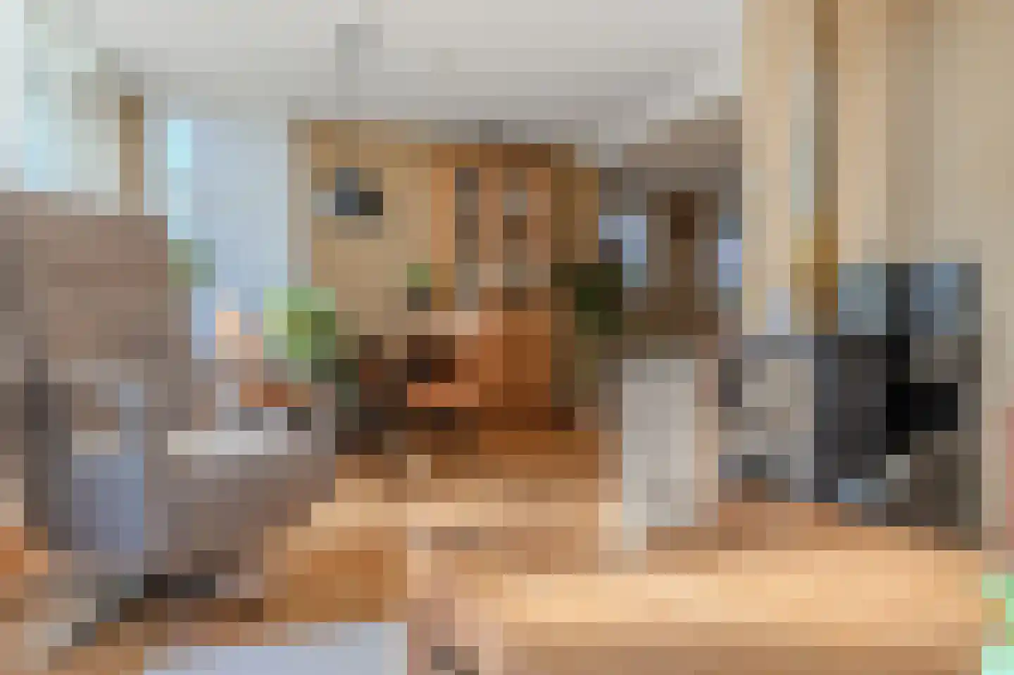 Westerstraat 20 Ter Apel thumbnail 20