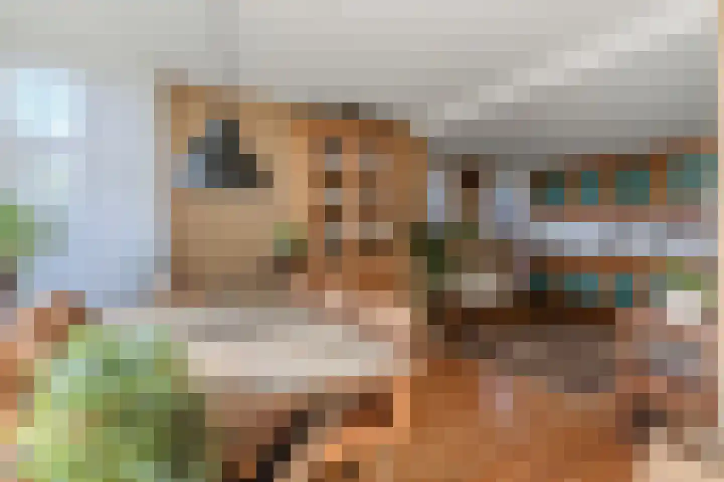 Westerstraat 20 Ter Apel thumbnail 4