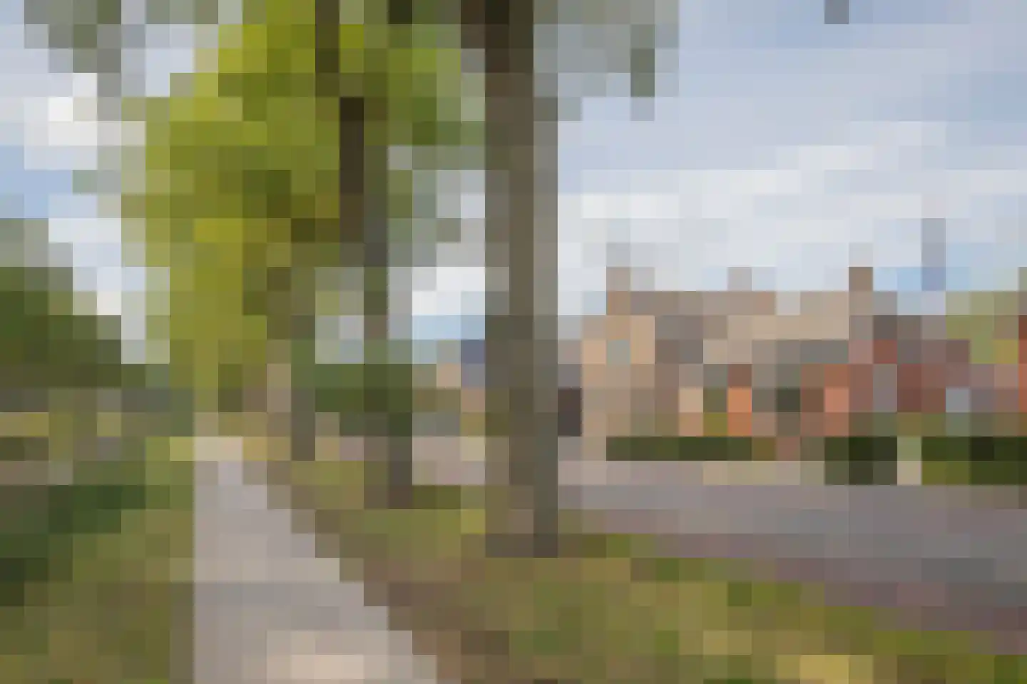 Westerstraat 20 Ter Apel thumbnail 8