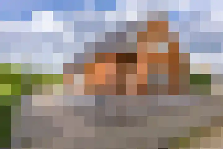 Westerstraat 204 Ter Apel