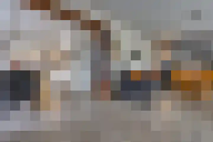 Westerstraat 204 Ter Apel thumbnail 15