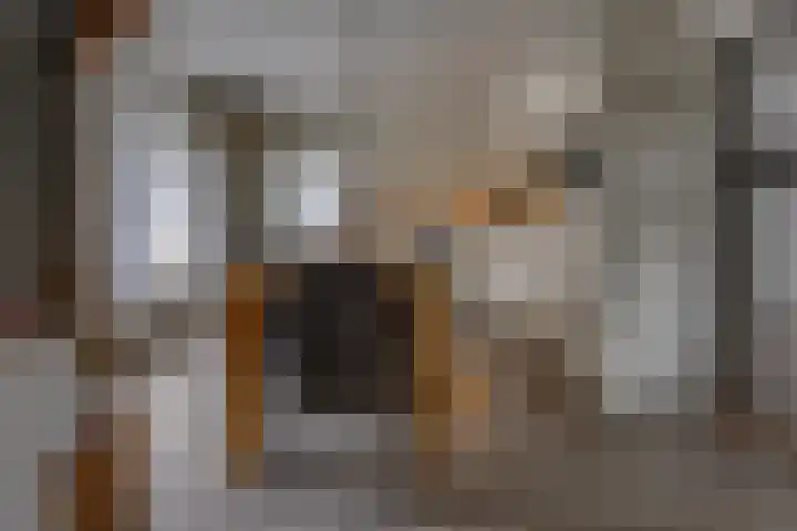 Westerstraat 204 Ter Apel thumbnail 17