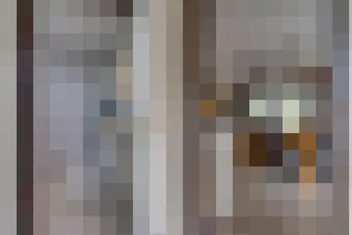 Westerstraat 204 Ter Apel thumbnail 19