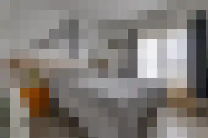 Westerstraat 204 Ter Apel thumbnail 27