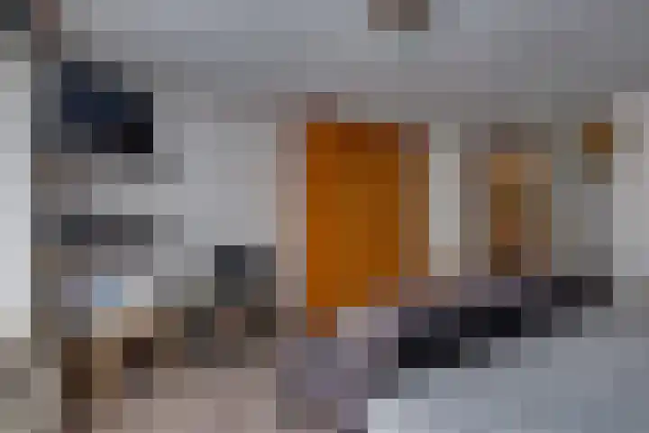 Westerstraat 204 Ter Apel thumbnail 33