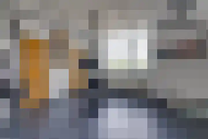 Westerstraat 204 Ter Apel thumbnail 34