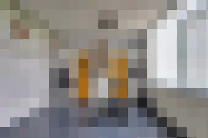 Westerstraat 204 Ter Apel thumbnail 35