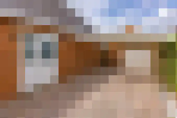 Westerstraat 204 Ter Apel thumbnail 7