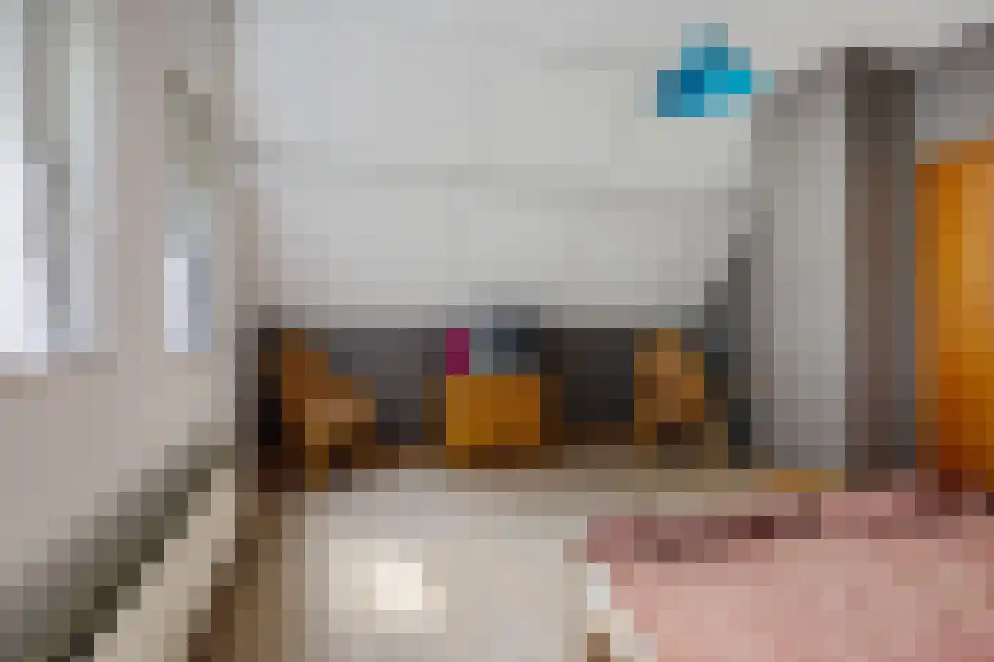 Westerstraat 207 Ter Apel thumbnail 30