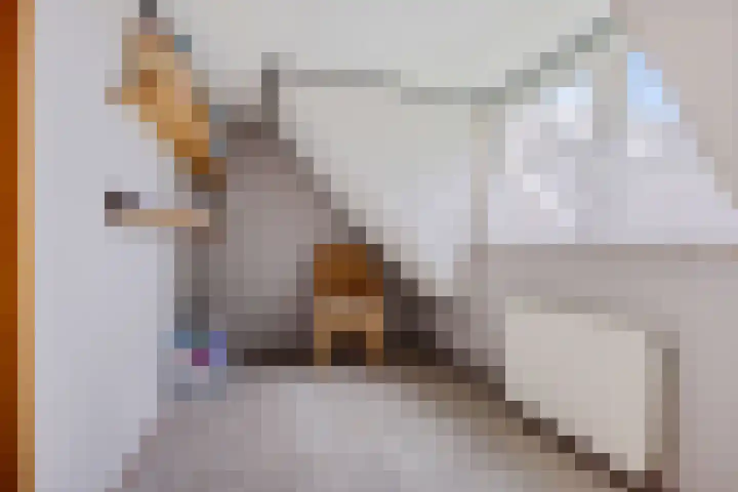 Westerstraat 207 Ter Apel thumbnail 33